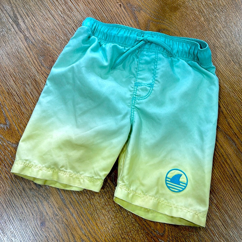 Toddler Swim Trunks - 3T